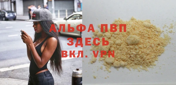 стафф Инта