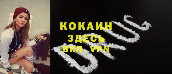 стафф Инта