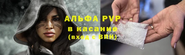 прущие крисы Иннополис