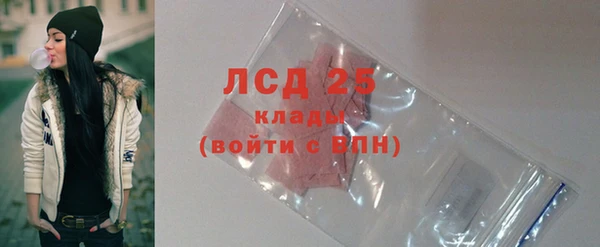 стафф Инта