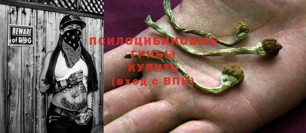 сатива Зеленодольск