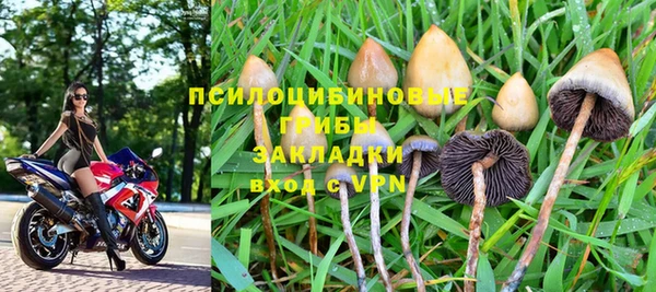 стафф Инта